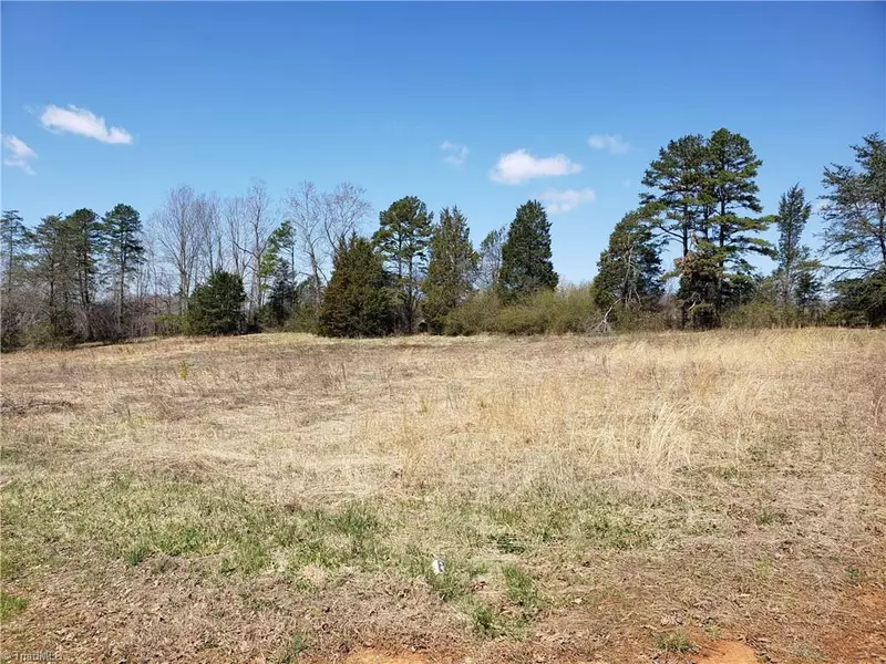 Lot 14 Eliza LN, East Bend, NC 27018