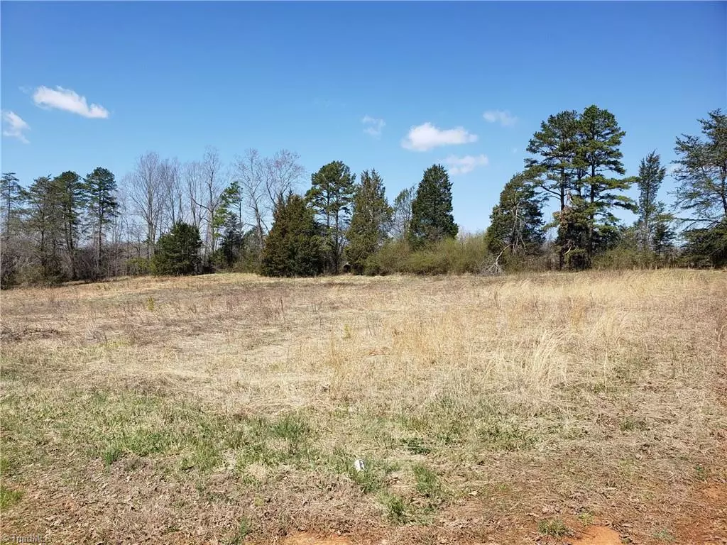 East Bend, NC 27018,Lot 14 Eliza LN