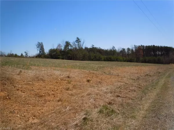 Walnut Cove, NC 27052,Lot 7 Percy Wall RD