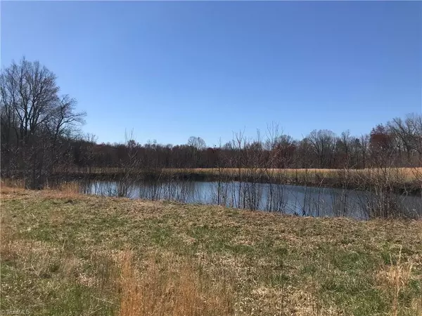 Summerfield, NC 27358,8301 Wrights Farm LN