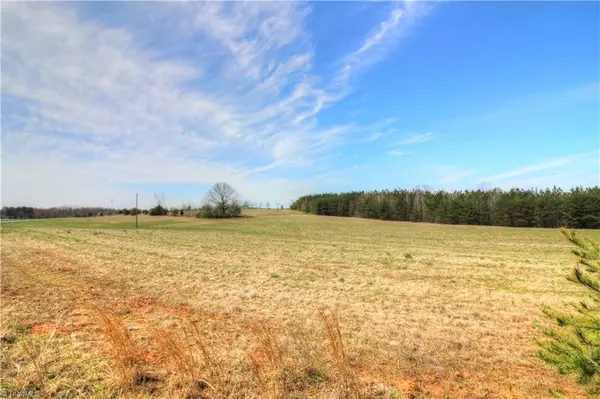 Stokesdale, NC 27357,14.42 +/- AC Gideon Grove Church RD