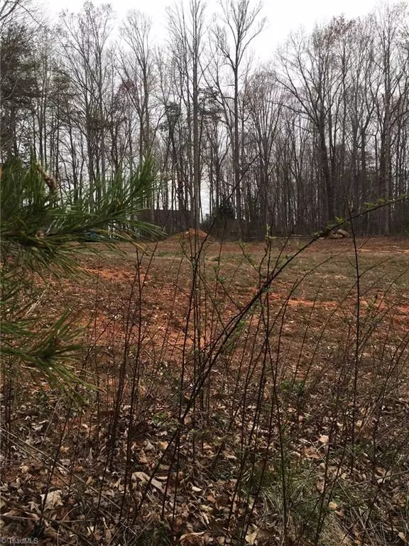 Reidsville, NC 27320,Lot #225 Laurel Ridge CT