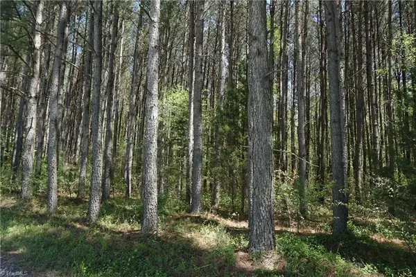 Hamptonville, NC 27020,01 Bell School House RD