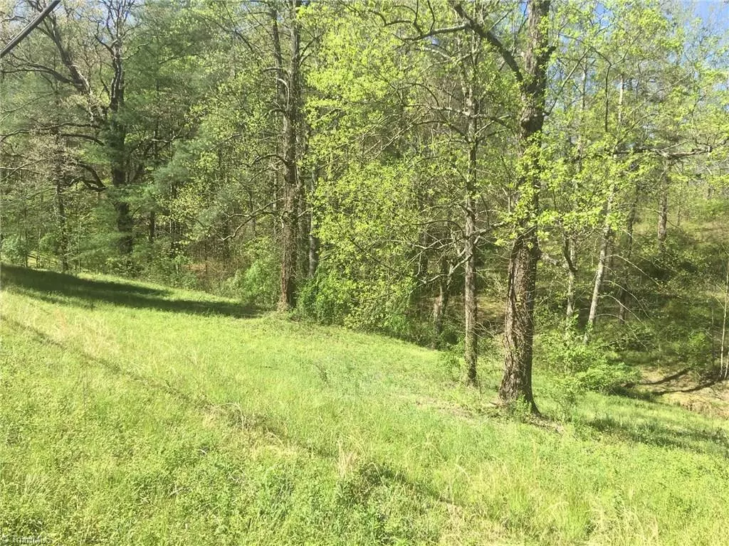 Wilkesboro, NC 28697,00 Oakwoods RD