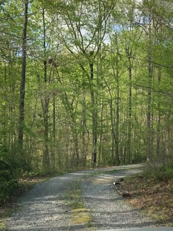 King, NC 27021,1320 Old Mail Route RD