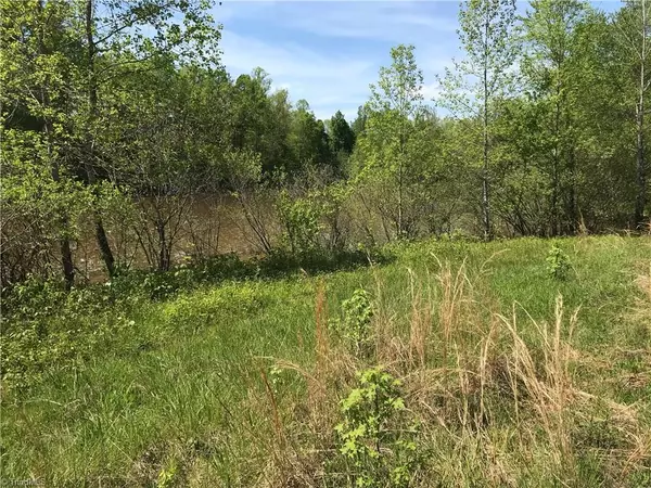 Reidsville, NC 27320,00 Meadow Branch RD