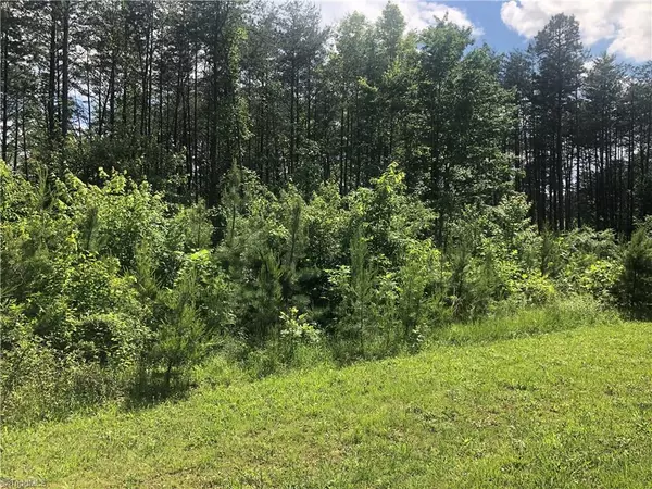 Pilot Mountain, NC 27043,2.0Ac Golf Course RD