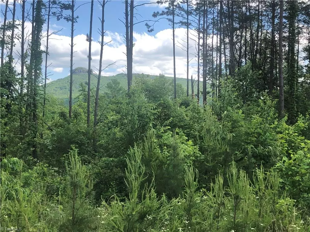 Pilot Mountain, NC 27043,2.0Ac Golf Course RD