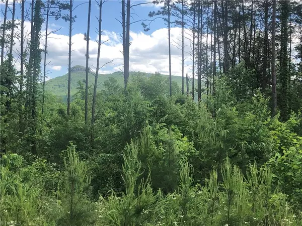 2.0Ac Golf Course RD, Pilot Mountain, NC 27043