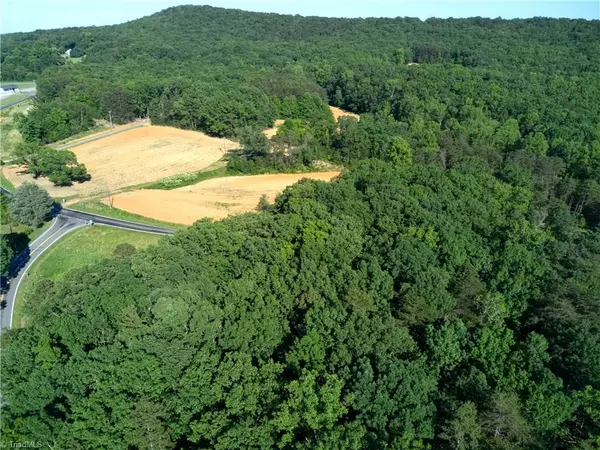 Pinnacle, NC 27043,5ac Shoals RD