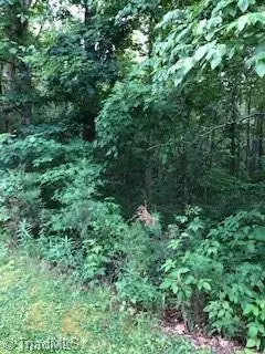 Moravian Falls, NC 28654,Lot 36 Meadow Pkwy