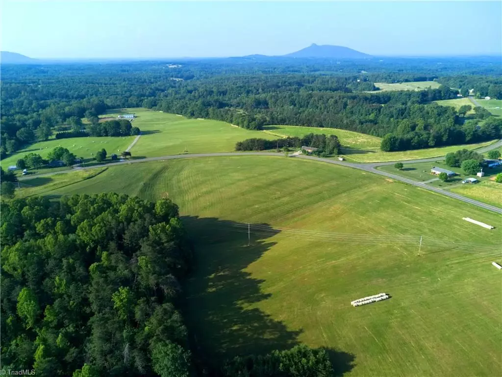 Pilot Mountain, NC 27041,0 Brown Mountain RD