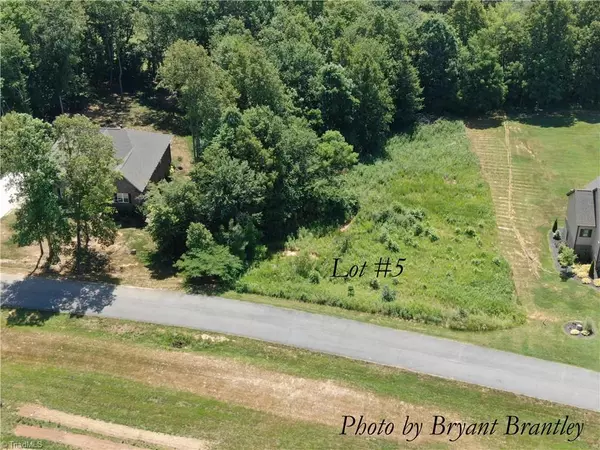 Pilot Mountain, NC 27041,Lot #5 Oriole WAY