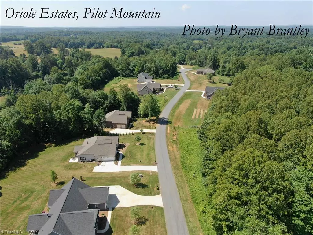 Pilot Mountain, NC 27041,Lot #5 Oriole WAY