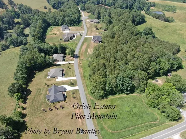 Pilot Mountain, NC 27041,Lot #5 Oriole WAY