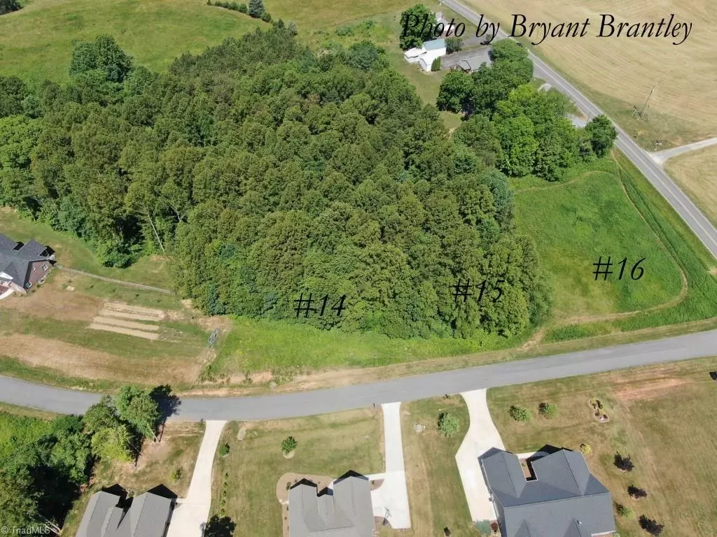 Pilot Mountain, NC 27041,Lot #14 Oriole WAY