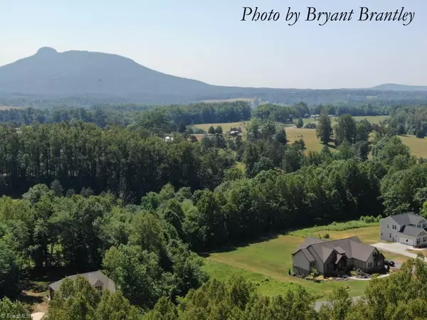 Pilot Mountain, NC 27041,Lot #14 Oriole WAY