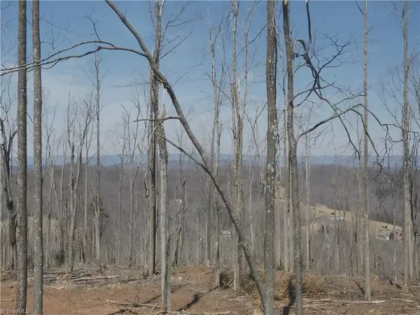 Pilot Mountain, NC 27041,59 Cook School RD