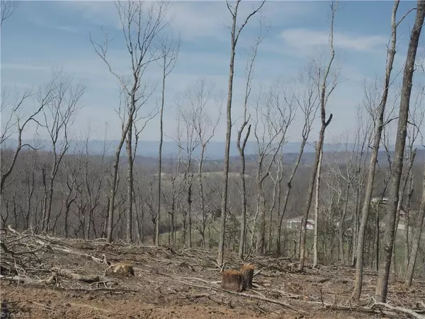 Pilot Mountain, NC 27041,59 Cook School RD