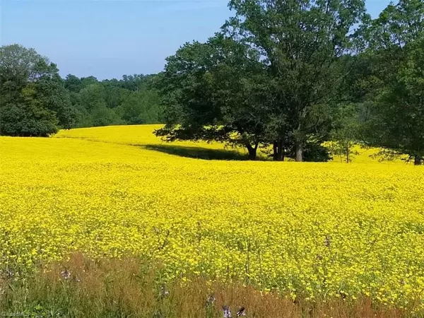 Elkin, NC 28621,00 Layell RD