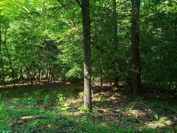 Hayes, NC 28635,00 Roaring River DR