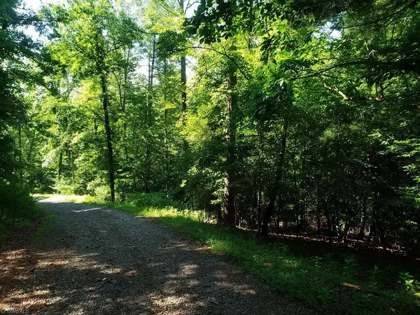 Hayes, NC 28635,00 Roaring River DR