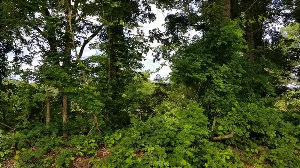 Summerfield, NC 27358,0 Price Mill RD