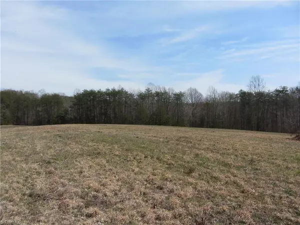 Stoneville, NC 27048,22.82 Acres Stone Mountain RD #Stone Mountain