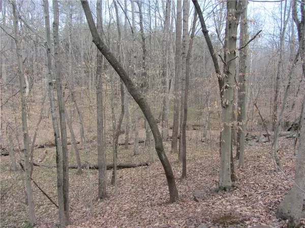 Stoneville, NC 27048,22.82 Acres Stone Mountain RD #Stone Mountain