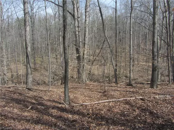 Stoneville, NC 27048,22.82 Acres Stone Mountain RD #Stone Mountain