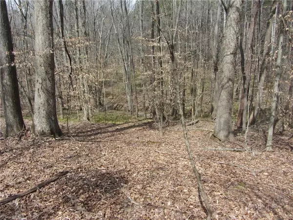 Stoneville, NC 27048,22.82 Acres Stone Mountain RD #Stone Mountain