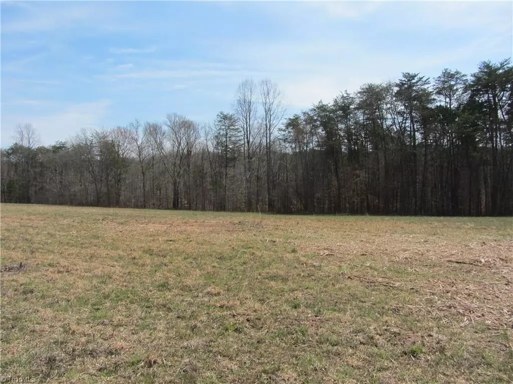 Stoneville, NC 27048,22.82 Acres Stone Mountain RD #Stone Mountain