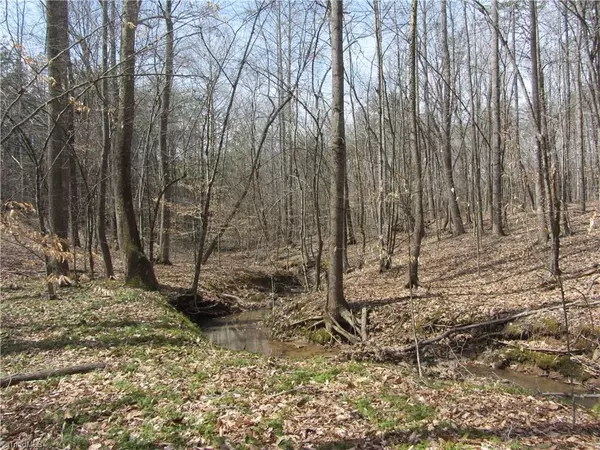 Stoneville, NC 27048,20.38 Acres Stone Mountain RD #Stone Mountain