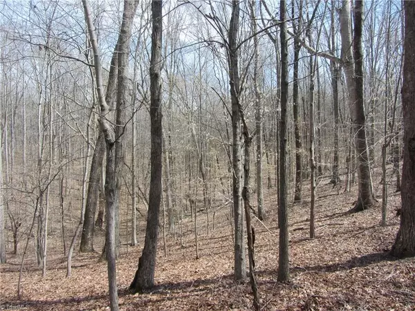 Stoneville, NC 27048,20.38 Acres Stone Mountain RD #Stone Mountain