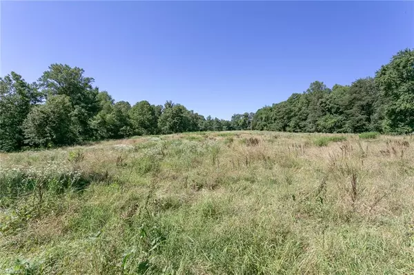 Hamptonville, NC 27012,00 Union Church RD