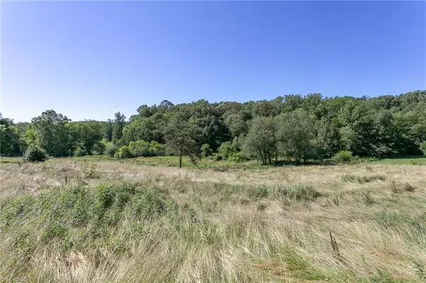 Hamptonville, NC 27012,00 Union Church RD