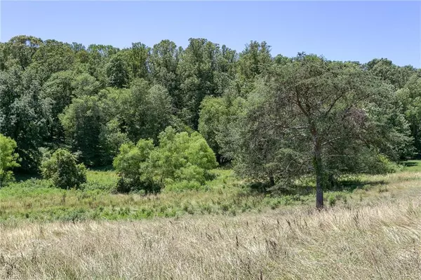 Hamptonville, NC 27012,00 Union Church RD