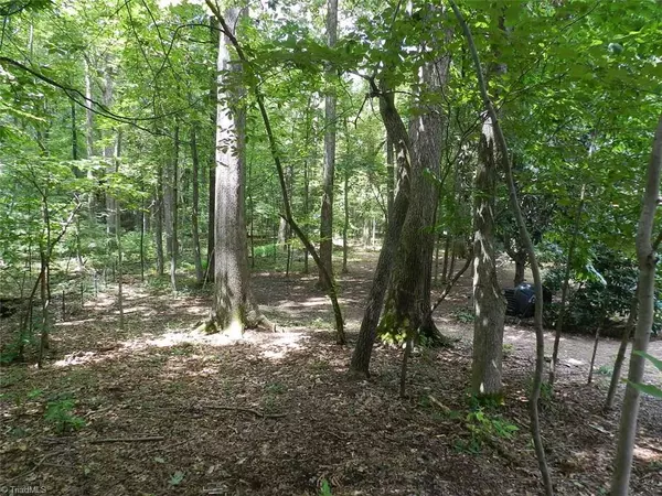 Summerfield, NC 27358,7403 Hepatica LN