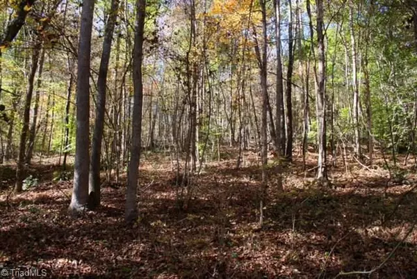 Mocksville, NC 27028,546 Sain RD