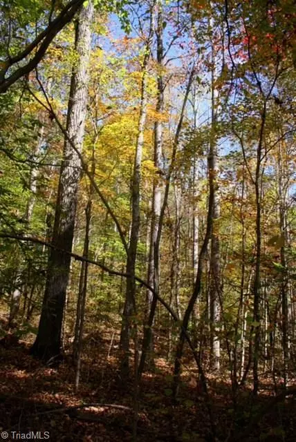 Mocksville, NC 27028,546 Sain RD