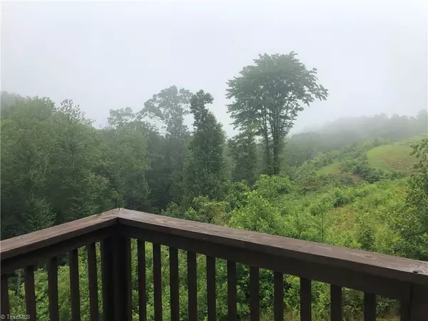 Millers Creek, NC 28651,1434 Rawhide RD