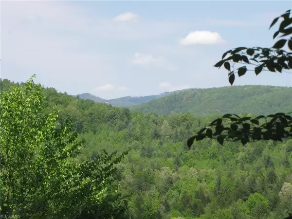 Millers Creek, NC 28651,0001 Love Hollow LN