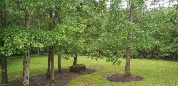 Summerfield, NC 27358,7009 Bronco LN