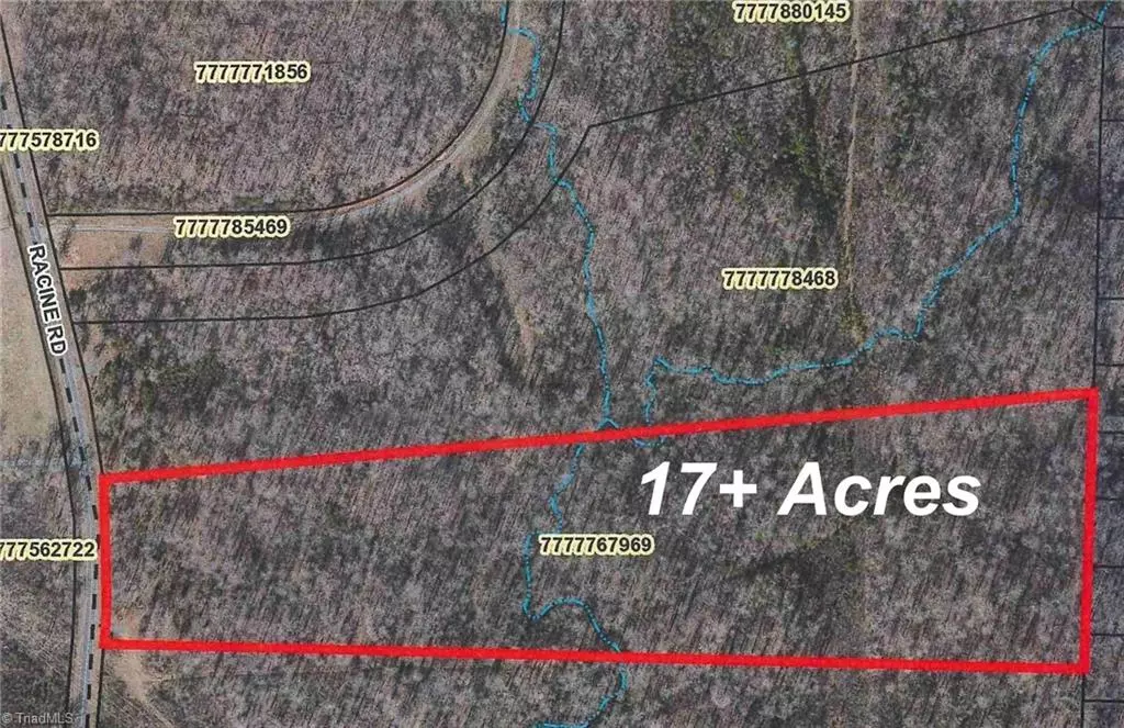 Pleasant Garden, NC 27313,0 Racine RD