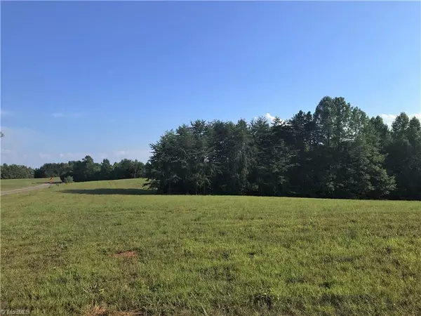 Mayodan, NC 27027,46.99 Acres Park RD