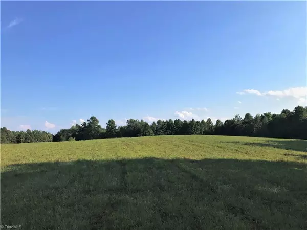 Mayodan, NC 27027,46.99 Acres Park RD