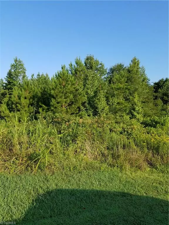 35 Griffin DR, Ramseur, NC 27316