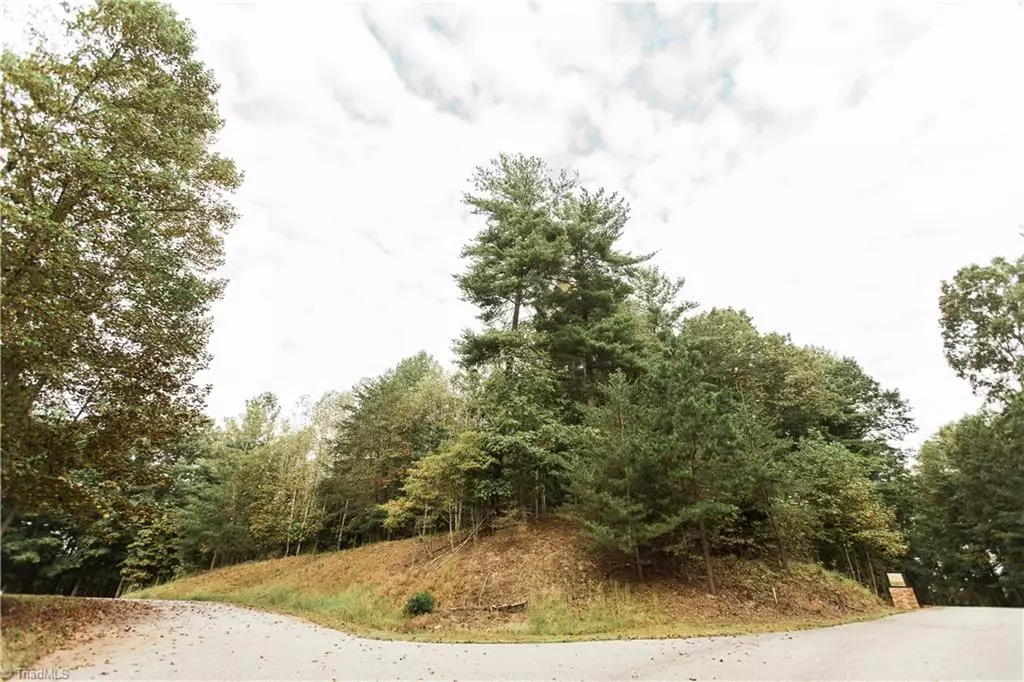 Wilkesboro, NC 28697,Lake Lot 3 Williams Farm RD