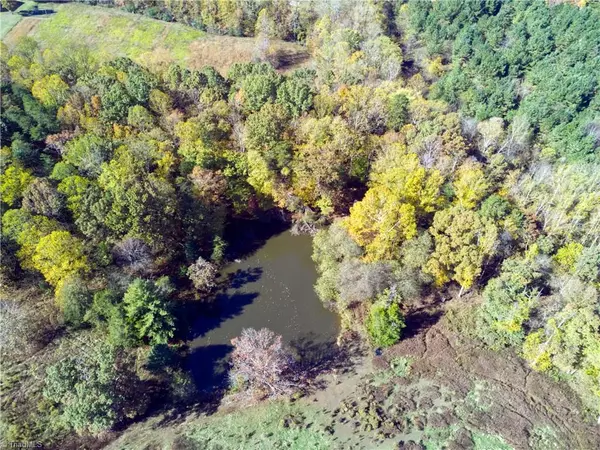 Eldora, NC 27041,1250 Pilot Power Dam RD