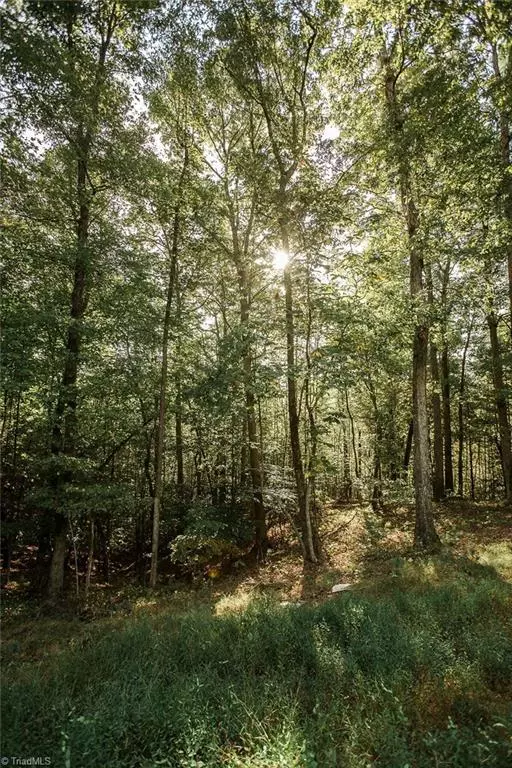 Wilkesboro, NC 28697,6 Triple Cove DR